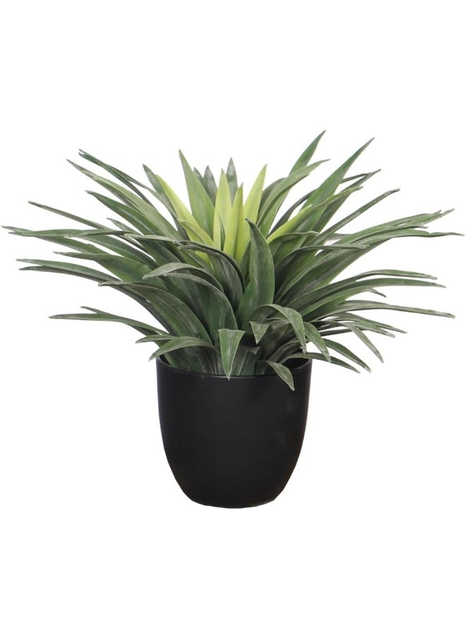 Nearly Natural Yucca Plant, 30cm Lifelike Artificial Plants with Pots, Maintenance-Free, UV Resistant Green Leaves, Lifelike Faux Indoor Plants, Sturdy & Realistic Fake Plants for Garden Decor - pzsku/Z00C686E01990F2EA973CZ/45/_/1727279708/343268e0-8456-4888-a74e-f3b27c1acdc0