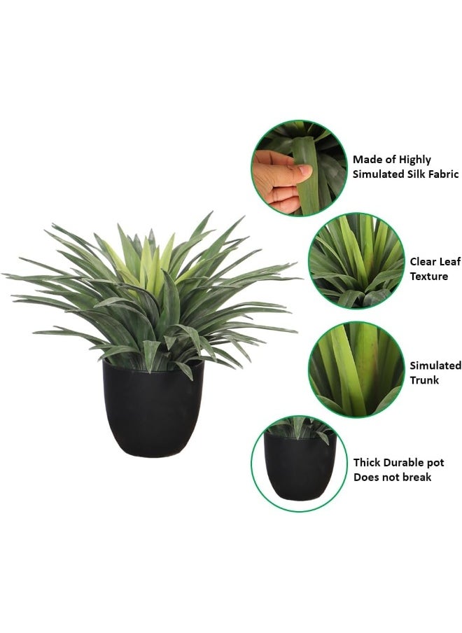 Nearly Natural Yucca Plant, 30cm Lifelike Artificial Plants with Pots, Maintenance-Free, UV Resistant Green Leaves, Lifelike Faux Indoor Plants, Sturdy & Realistic Fake Plants for Garden Decor - pzsku/Z00C686E01990F2EA973CZ/45/_/1727279713/f901ec36-39b4-4f69-a746-9a6a3263e785