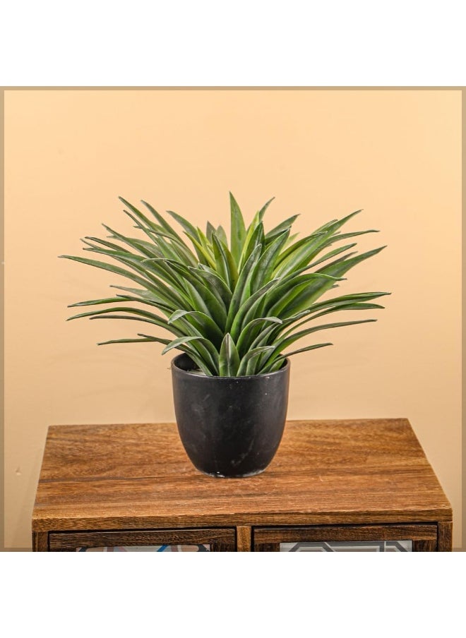 Nearly Natural Yucca Plant, 30cm Lifelike Artificial Plants with Pots, Maintenance-Free, UV Resistant Green Leaves, Lifelike Faux Indoor Plants, Sturdy & Realistic Fake Plants for Garden Decor - pzsku/Z00C686E01990F2EA973CZ/45/_/1727279719/07c39b23-7f42-41cf-8ba3-26f1f998a404