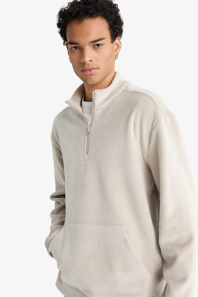 Defacto  Regular Fit Stand Collar Half Zippered Velvet Sweatshirt for Men | Best Price UAE