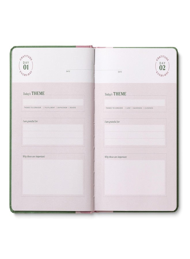 كومبينديوم مجموعة مختارة - دفتر يوميات يومي مُوجّه للامتنان: ممارسة يومية للفرح والرضا - دفتر ملاحظات للنمو الشخصي لمدة 5 دقائق يوميًا - دفتر يوميات مُلهم لتكوين عادات جديدة - Image 4