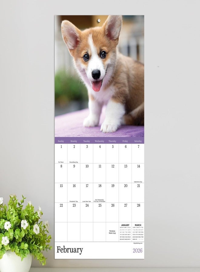 TF Publishing 2026 Puppies Mini Calendar with Monthly Grids for Appointments and Scheduling - Vertical Small Wall Calendar 2026 with Premium Gloss Paper for Home and Office Organization - 7x7in - Image 5