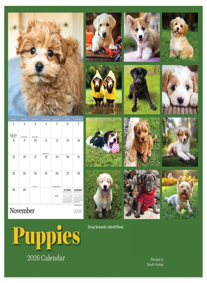 TF Publishing 2026 Puppies Mini Calendar with Monthly Grids for Appointments and Scheduling - Vertical Small Wall Calendar 2026 with Premium Gloss Paper for Home and Office Organization - 7x7in - Image 4