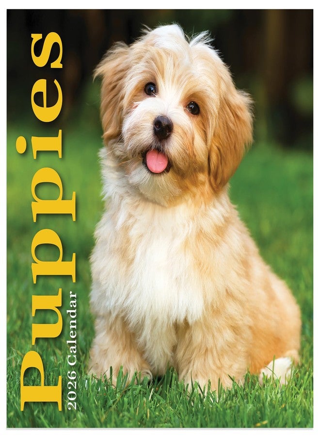 TF Publishing 2026 Puppies Mini Calendar with Monthly Grids for Appointments and Scheduling - Vertical Small Wall Calendar 2026 with Premium Gloss Paper for Home and Office Organization - 7x7in - Image 2