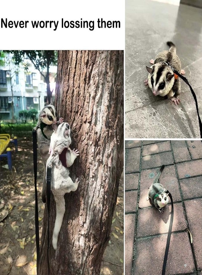 Fejapa 3+1 Sugar Gliders Harness Leash Set with Carrier Carry Carrying Bag Pounch Training Walking Gear Traction Rope Strap Small Animal Leash for Hamster Lizards Dragon Squirrels Rats - Image 2