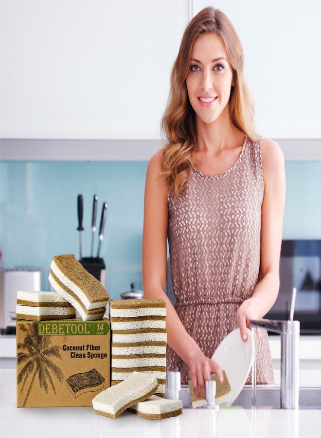 DEBETOOL Natural Kitchen Sponge, Eco-Friendly Dish Sponge for Kitchen - Biodegradable Cellulose and Coconut Scrubber -Pack of 14 Household Cleaning Sponge for Dishes, White - Image 5