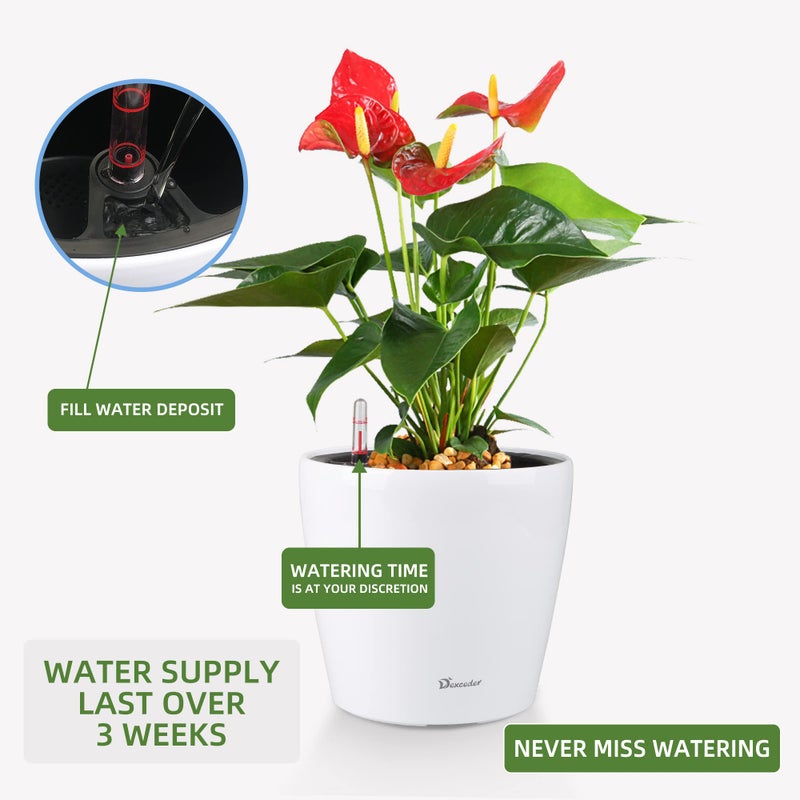 Dexceder 9x8 Inches High Gloss Self Watering Planter Indoor Outdoor, Inner Pot Design, Thickened Table Flower Plant Pot with Water Level Indicator (White) - Image 5