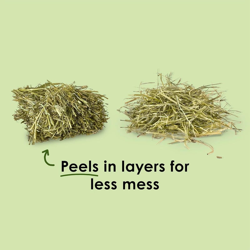 Wafer Cut All Natural Timothy Hay for Pet Guinea Pigs, Rabbits & Other Small Animals, 60 Ounce - Image 5