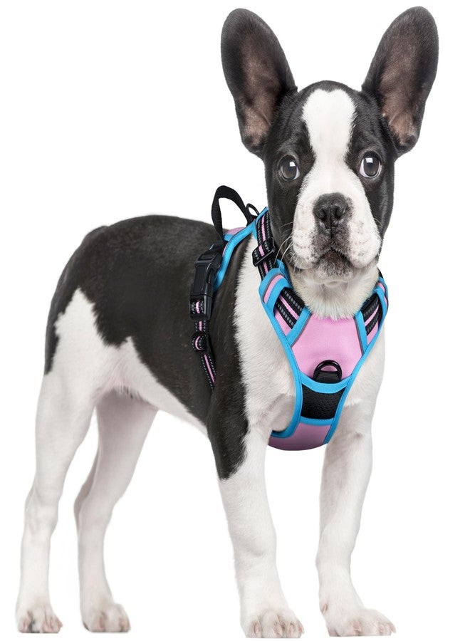 rabbitgoo Dog Harness No Pull with 2 Leash Clips, Adjustable Soft Padded, Reflective Oxford No Choke Pet Vest with Easy Control Handle for Small Dogs, Pink & Blue, S