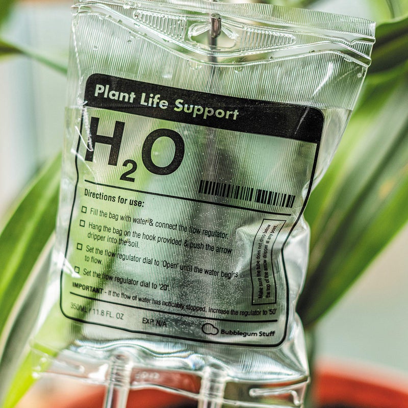 Bubblegum Stuff Plant Life Support - Automatic Watering System for Houseplants - Fun Garden Gifts - Home Accessories - Indoor Waterer - Image 4