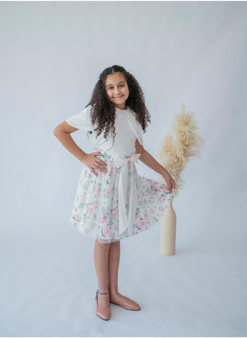 LALEENA - Whispering Roses Sheer Overlay Dress - Image 1