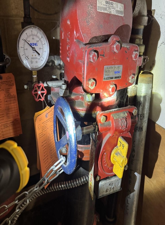 دورسي مصباح يدوي LED مقاوم للعوامل الجوية من Dorcy بقوة 120 لومن مع مقبض مانع للانزلاق وحبل من النايلون، ألوان متنوعة (41-2958) - Image 2