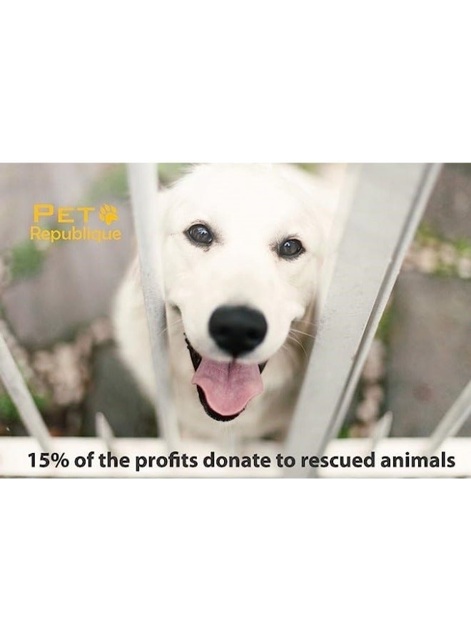 general Cat Nail Clipper – Professional Stainless-Steel Claw Clipper Trimmer for Cats, Kittens, Hamster, Rabbits, Birds, & Small Breed Animals - Image 4