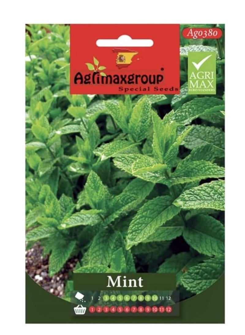 أجريماكس بذور النعناع عالية الجودة (صنع في إسبانيا) من Agrimaxgroup  - Image 1