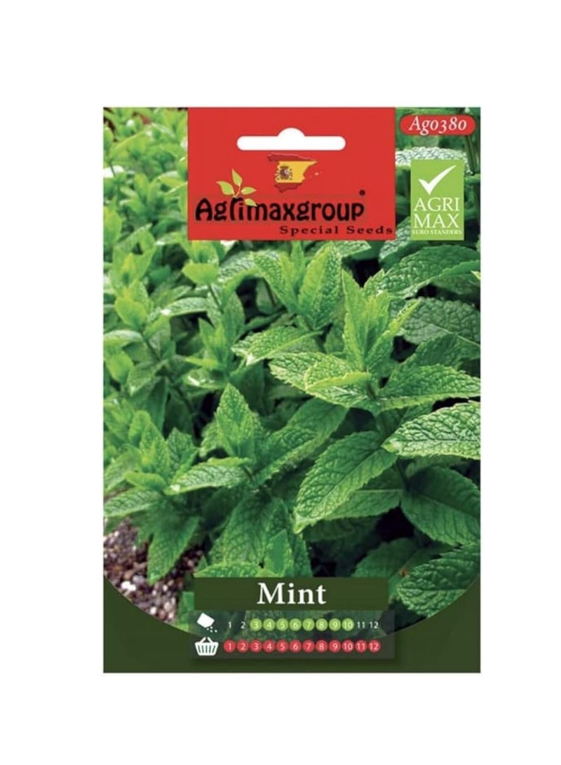 أجريماكس بذور النعناع عالية الجودة (صنع في إسبانيا) من Agrimaxgroup  - Image 2