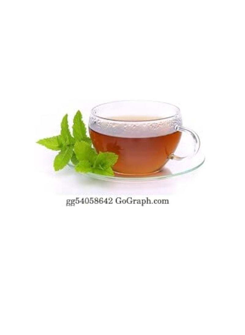أجريماكس بذور النعناع عالية الجودة (صنع في إسبانيا) من Agrimaxgroup  - Image 3