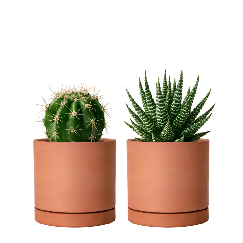 D'vine Dev X-Small 4 Inch Terracotta Plant Pot with Drainage Hole and Saucer, Round Cylinder Planter Pot for Indoor Plants, Set of 2, 40-X-B-1 - Image 1