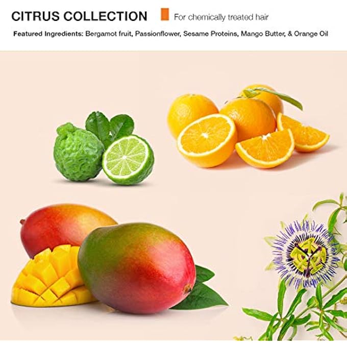 Mop CITRUS REPLENISHING SHAMPOO NO PARABENS NO SULFATES, CITRUS, 8.45 FL. OZ. - Image 3