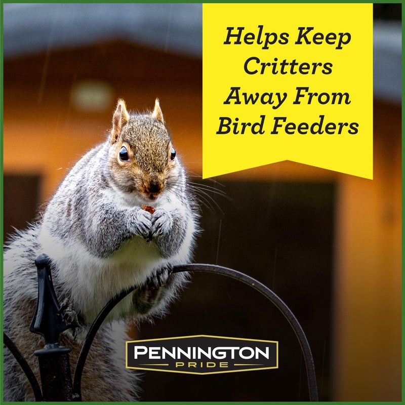 Pennington Pride Squirrel & Critter Blend, With Sunflower Seeds and Peanuts for Squirrels, Helps Keep Critters Away From Bird Feeders, 10-lb. Bag - Image 3