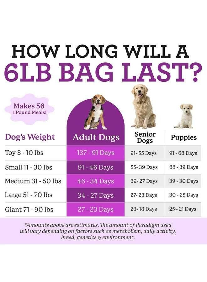 دي آر. هارفي طعام الكلاب Green Superfood من Dr. Harvey's Paradigm، مزيج أساسي خالٍ من الحبوب المجففة مناسب للبشر للكلاب، نظام غذائي منخفض الكربوهيدرات لمرضى السكر (6 أرطال) - Image 3