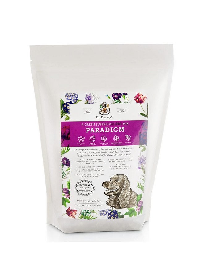 دي آر. هارفي طعام الكلاب Green Superfood من Dr. Harvey's Paradigm، مزيج أساسي خالٍ من الحبوب المجففة مناسب للبشر للكلاب، نظام غذائي منخفض الكربوهيدرات لمرضى السكر (6 أرطال) - Image 1