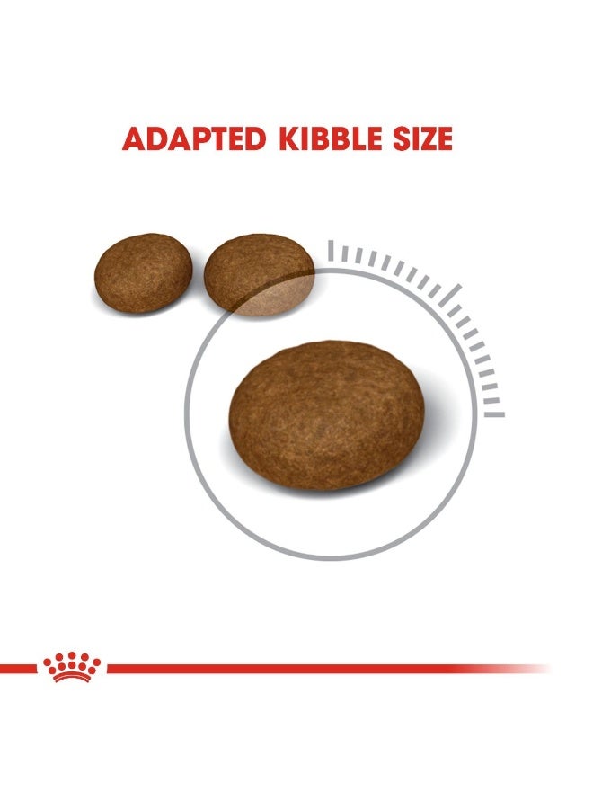 Royal Canin Hair & Skin  Care Dry food For Adult Cats (1-10 Years) 2kg - Image 3