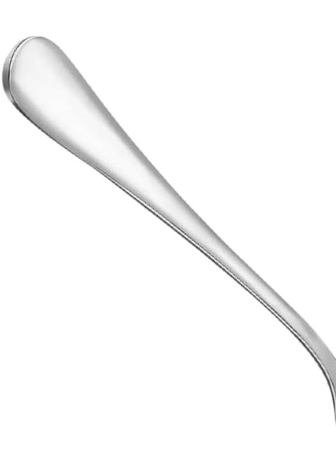 Bisbell Stainless Steel Table Spoons, Set of 12, Silver, Comfortable Grip,BB2896 - Image 2