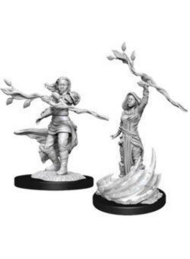 WiZKiDS D&D Nolzurs Marvelous Unpainted Miniatures: Wave 3: Human Male Paladin - Image 5