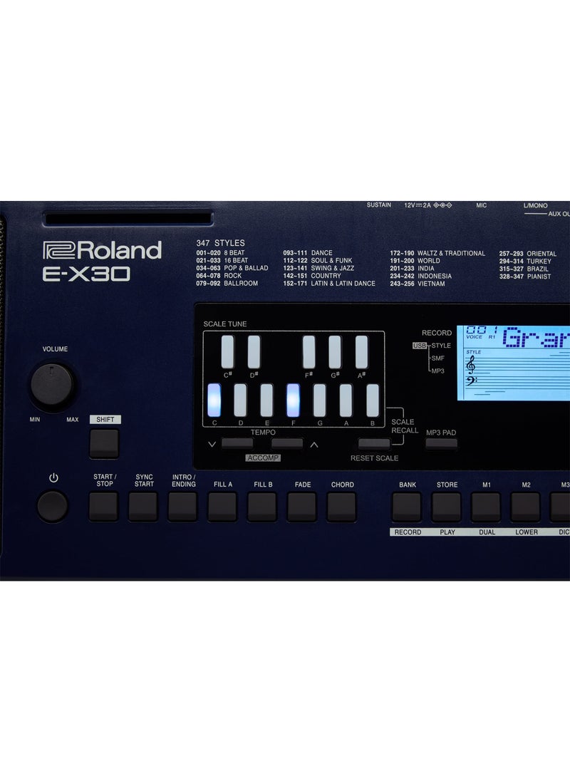Roland - E-X30 61-Key Arranger Keyboard – 256-Voice Polyphony, 433+ Tones, 347 Styles, MP3 Playback, and USB Connectivity - Image 1
