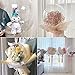 OULUN 10Pcs Pre Stretched Extra Wide Mouth BoBo Balloons 30 Inch Large Clear Stuffing Ball Giant Transparent Balloons for Valentines DayBaby ShowerChristmasWeddingBirthday Party Decoration - Image 4