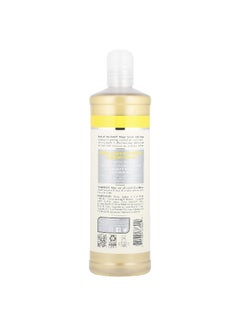 Fruit of the earth Fruit of the Earth, Meyer Lemon Dish Soap , 16 fl oz (473 ml)  - Image 2