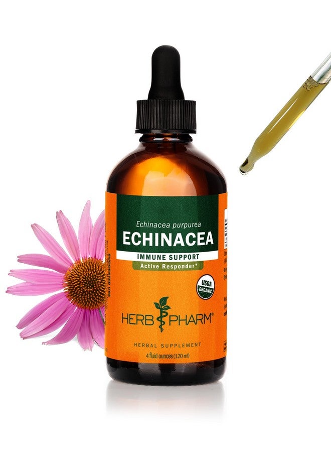 Herb Pharm Certified Organic Super Echinacea Liquid Extract for Active Immune System Support - 4 Oz - Image 1
