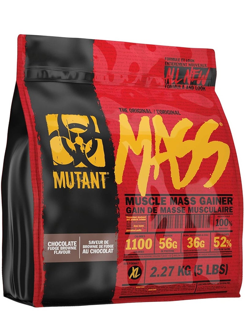 ميوتانت ذا أوريجينال ماس 16 حصة شوكولاتة براوني 5 رطل 2.27 كجم - Image 1