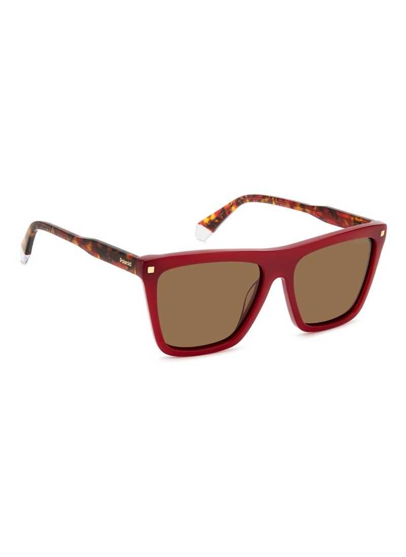 Polaroid Women's Polarized Rectangular Shape Acetate Sunglasses PLD 4164/S/X GOLD 45 - Lens Size: 44.6 Mm - Burgundy  - Image 2