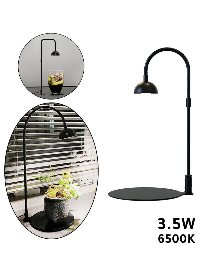 Aquarium Terrarium planting metal base with drop light with timer big - Image 1