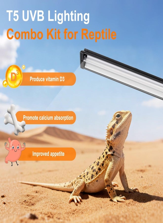 GREENPAW T5 UVB Light for Reptiles, 10.0 8W HO UVA UVB Reptile Light Fixture, 12 Inch Lamp Tube for Bearded Dragon, Tortoise, Lizards, Reptiles and Amphibians - Image 2