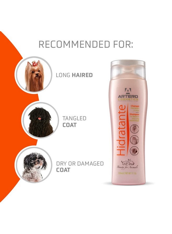 Artero Hidratante Shampoo