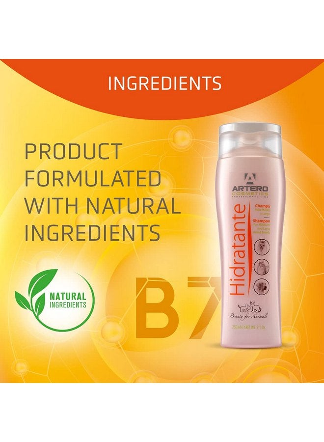 Artero Hidratante Shampoo