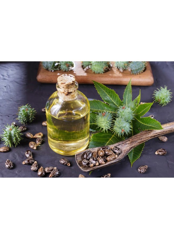 Organic pure oil - Pure Castor Oil - 8 oz w/Dispense Cap - Pure, Natural, Non-GMO, Hexane-Free, Vegan Carrier Oil - Promotes Hair Growth, Conditions - Skin, Hair, Lashes, Brows, Cuticles & More - Image 1