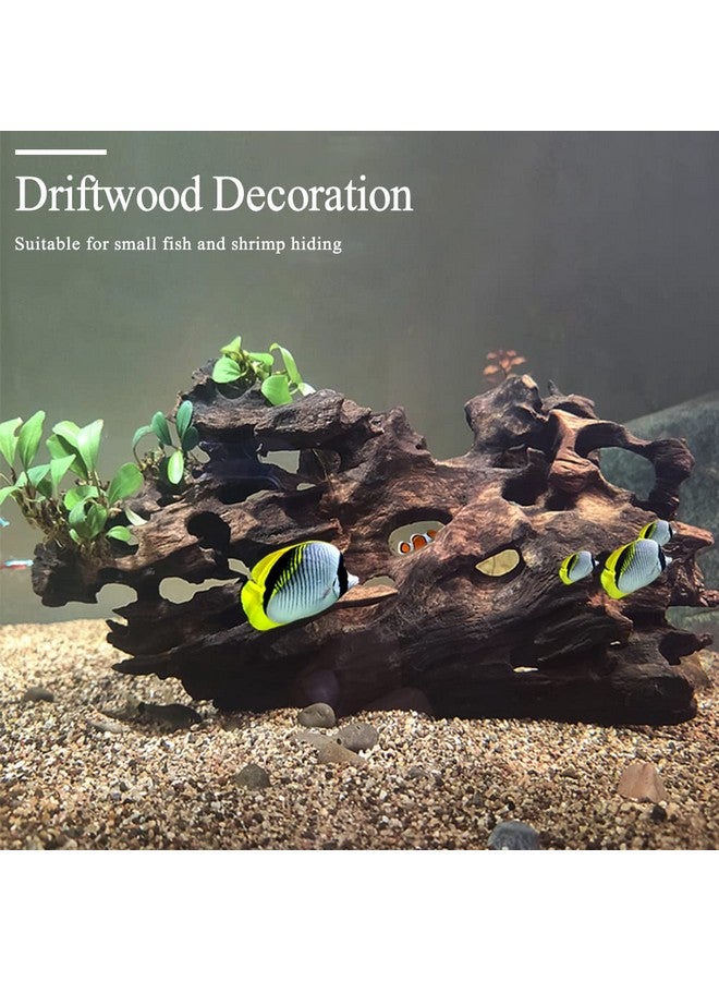 Hamiledyi Natural Driftwood For Aquarium Decor Sinkable Reptile Wood Branches Fish Tank Log Habitat Decorations Terrarium Ornament Assorted - Image 5