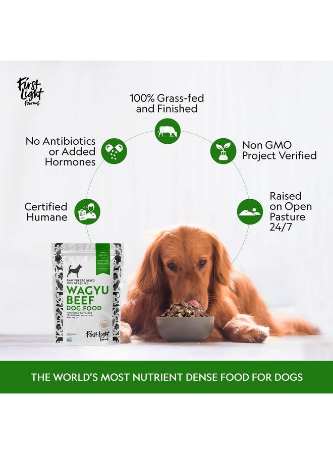 فيرست لايت طعام الكلاب المجفف بالتجميد من First Light Farms للأكلات الانتقائية | تركيبة خالية من الحبوب وغنية بالبروتين لجميع السلالات ومراحل الحياة | لحم واغيو ممتاز ومعتمد من منظمة إنسانية | كيس 1.5 رطل - Image 4