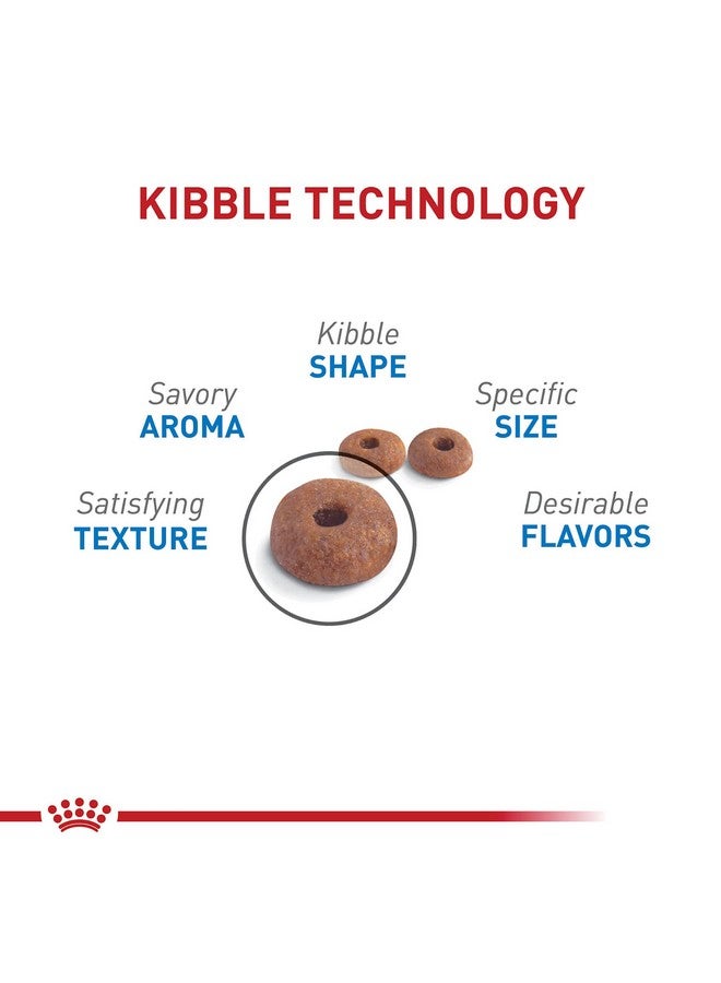 رويال كانين طعام جاف للقطط البالغة من Feline Weight Care، كيس 6 رطل - Image 3