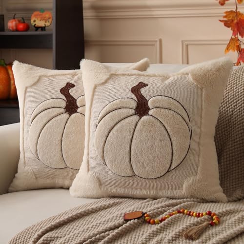 Allorry Fall Pillow Covers 18x18 Set of 2 Fall Beige Pumpkin Embroidery Throw Pillow Covers Soft Plush Faux Fur Cushion Covers for Sofa Bedroom Living Room Autumn Thanksgiving Home Decor PT010A18 - Image 1