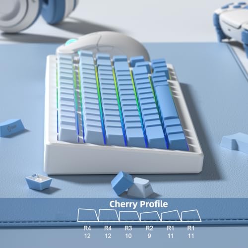 dagaladoo Blue PBT keycap Set,Shine Through keycap 75 Percent,Double Shot Key caps,Cherry Profile,Gradient Keyboard Cap,Side Printed keycaps for Mechanical Gaming Keyboards(121key,only keycaps) - Image 3
