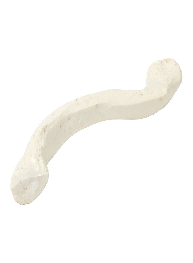 Axis Scientific Clavicle Bone Model | Right | Cast from Real Human Clavicle Bone l Human Collarbone Model Has Realistic Texture and Important Bony Landmarks | Includes Product Manual - Image 4