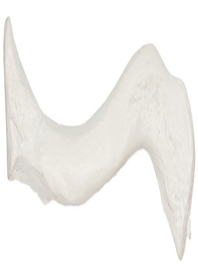 Axis Scientific Clavicle Bone Model | Right | Cast from Real Human Clavicle Bone l Human Collarbone Model Has Realistic Texture and Important Bony Landmarks | Includes Product Manual - Image 1