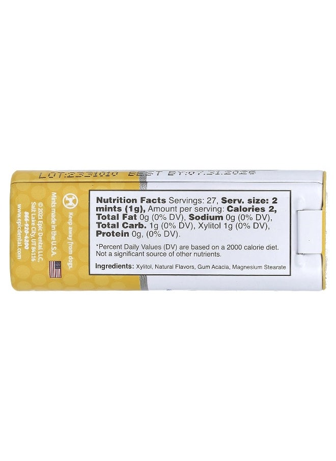 Epic Dental Epic Dental, Sugar-Free Xylitol Mints, Fresh Fruit, 27 Mints, 27.5 g  - Image 2
