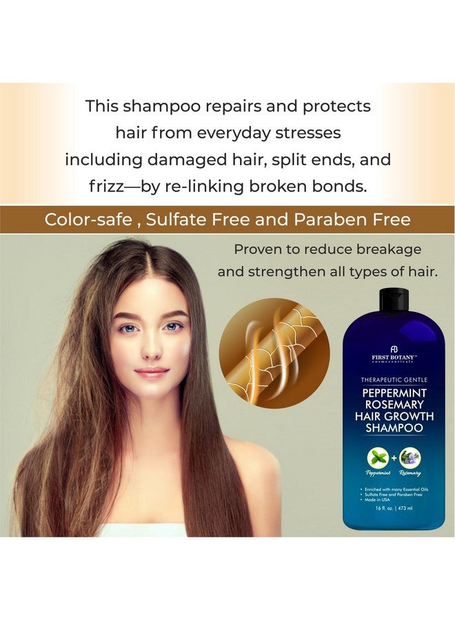 First Botany Peppermint Rosemary Hair Regrowth Shampoo - Anti Hair Loss Product, Daily Hydrating, Detoxifying, Volumizing Shampoo And Fights Dandruff For Men And Women 16 Fl Oz - Image 1
