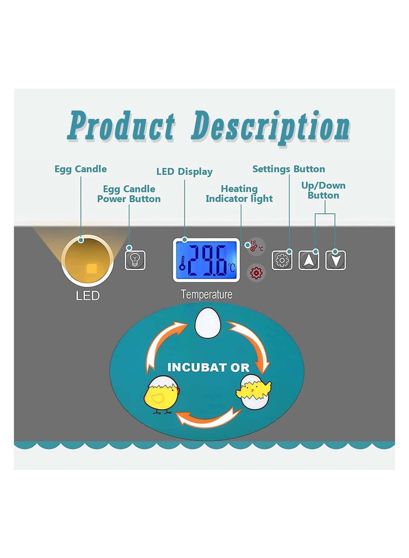 Arabest Egg Incubator, Poultry Hatcher with LED Display, Automatic Incubation Equipment for Hatching Chickens, Ducks, Geese, Quail, Pigeons  - Image 5