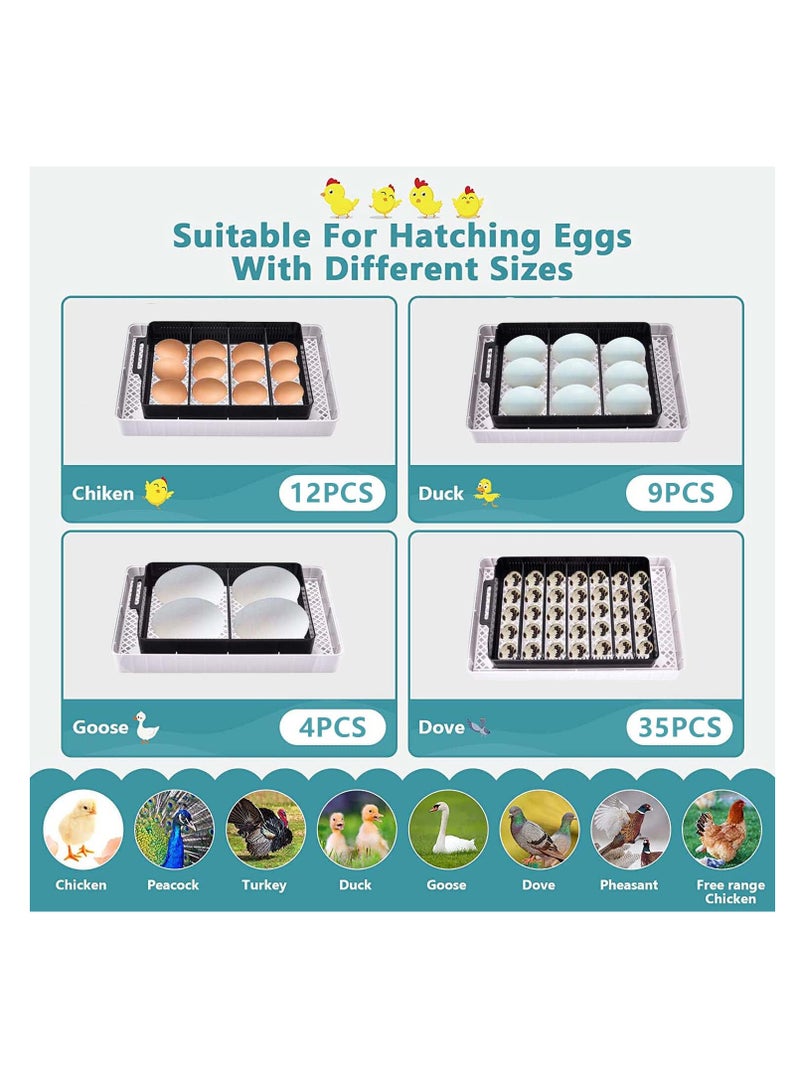 Arabest Egg Incubator, Poultry Hatcher with LED Display, Automatic Incubation Equipment for Hatching Chickens, Ducks, Geese, Quail, Pigeons  - Image 2